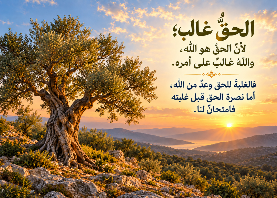 شجرة زيتون ثابتة فوق أرض صخرية عند الشروق، مع عنوان الحق غالب واقتباس عن نصرة الحق