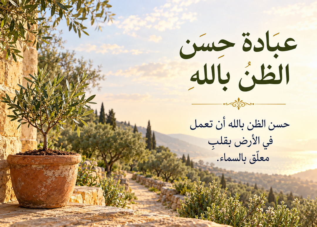 شتلة زيتون في أصيص فخاري على شرفة حجرية وطريق مضاء بالشمس، مع عنوان عبادة حسن الظن بالله ومقتطف من المقال.